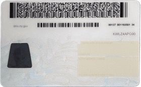 Fake ID Back View - Scannable Barcode Best fake ID back view with scannable barcode