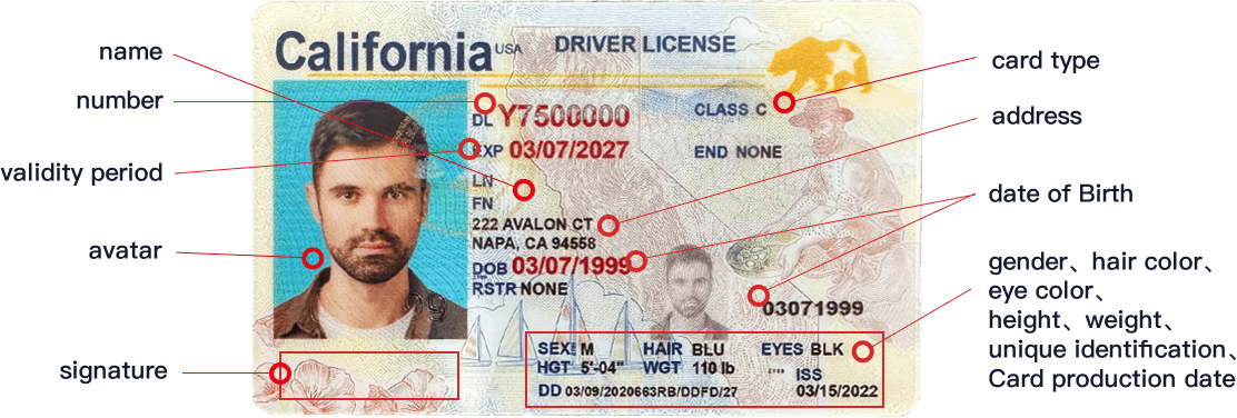 Fake ID Card Information - All Fields Customizable Scannable fake ID card customizable information fields