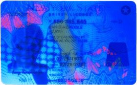 Fake ID UV Front - Hologram Feature Best fake ID UV front view - hologram under black light